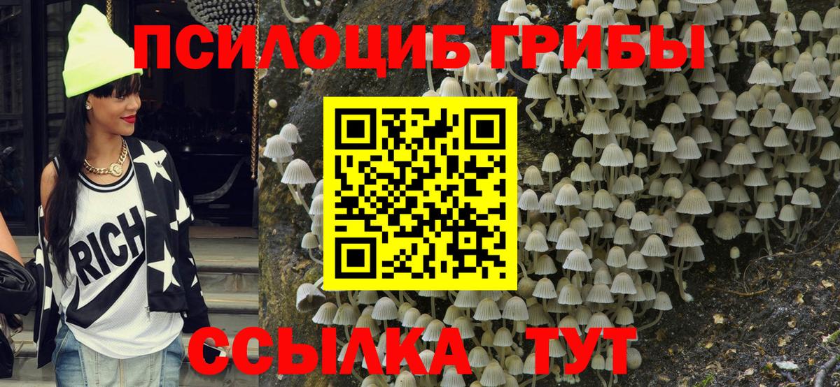 Галлюциногенные грибы Psilocybine cubensis  Псилоцибиновые грибы Magic Shrooms  Сланцы  Вход с VPN 