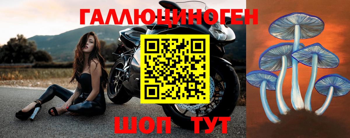 Галлюциногенные грибы Magic Shrooms Сланцы